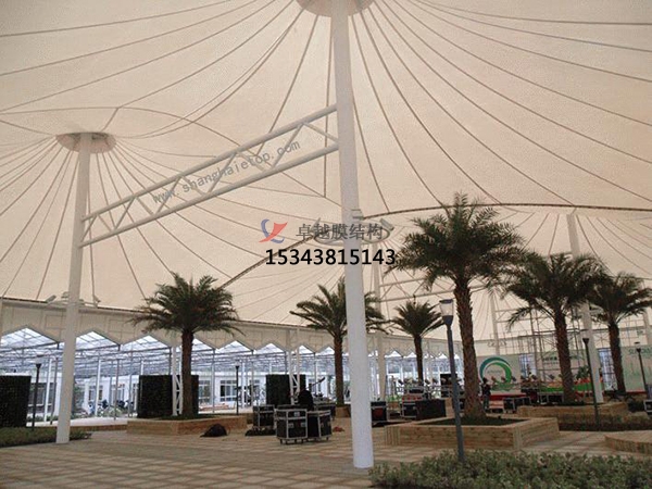 膜結構預算單誰能做？