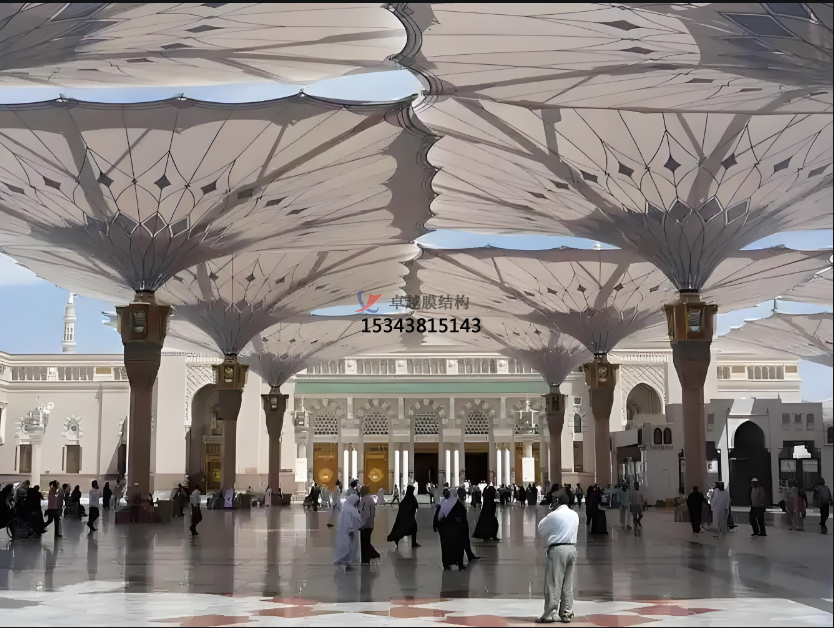 PTFE網(wǎng)格膜，有哪些類別呢？